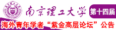 骚阴骚妇在线南京理工大学第十四届海外青年学者紫金论坛诚邀海内外英才！